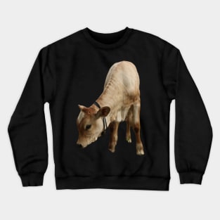 Funny beef calf cattle Crewneck Sweatshirt